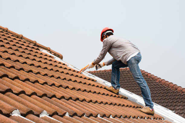 Best Sheet Metal Roofing  in Summerville, SC