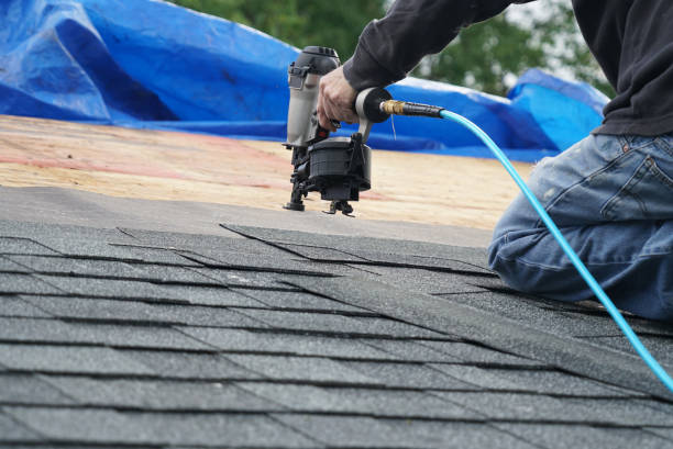 Best Chimney Flashing Repair  in Summerville, SC